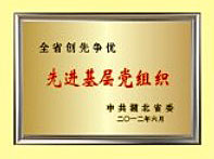 先進基(ji)層黨組(zu)織