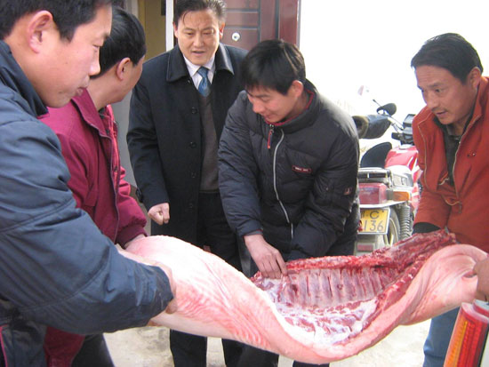 慰問茶(cha)店福利院老(lao)人